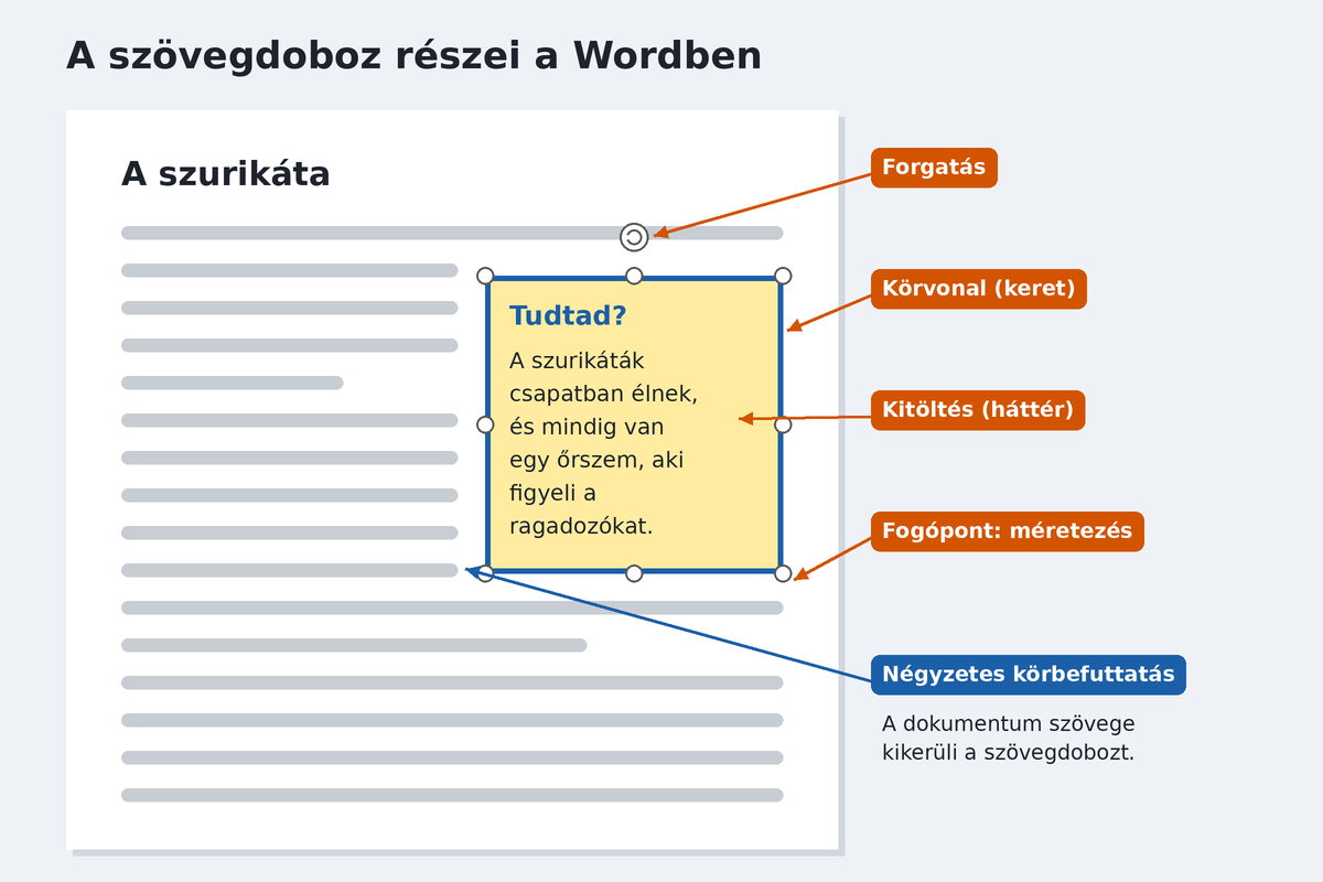 A szövegdoboz részei a Wordben: forgatás, körvonal, kitöltés, fogópontok és négyzetes körbefuttatás